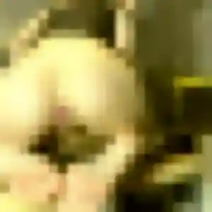 Claire, 20 ans, en ligne à Beaulieu-sur-Mer pour une rencontre coquine