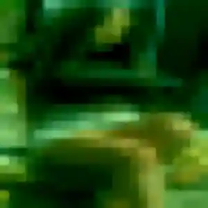 Photo de Touria à Boën-sur-Lignon (39 ans) - rencontre sexe discret