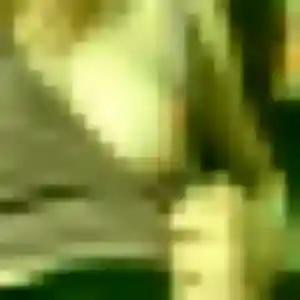 Sylviane, fille de 25 ans veut rencontre sexe à Bressols