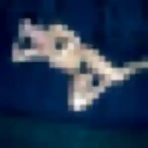 Photo de Penelope à Cabannes (27 ans) - rencontre sexe sans inscription