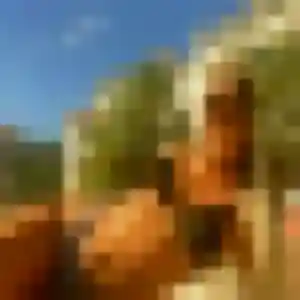 Photo perso de Gilberte, 33 ans à Cassis - rencontre sans lendemain