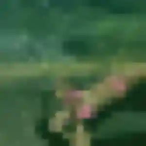 Photo de Romina à Chabanière (36 ans) - rencontre sexe gratuit