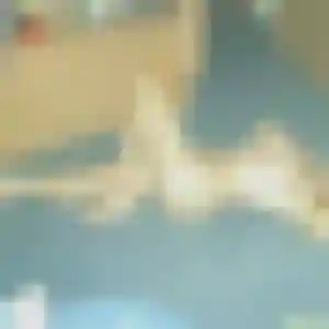 Tania, 36 ans, disponible à Chalon-sur-Saône pour une rencontre coquine