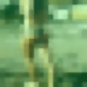 Lucie, 32 ans, dispo pour rencontre sexe à Colomiers