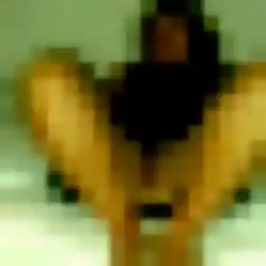Photo de Phoebe à Condrieu (29 ans) - rencontre sexe sans inscription