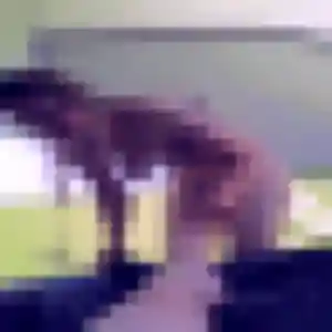 Photo privée de Dounia, 25 ans à Culoz-Béon - rencontre coquine