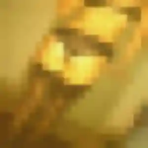 Photo de Zara à Eaunes (43 ans) - rencontre sexe discret