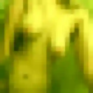 Irene, 36 ans, dispo pour rencontre sexe à Espira-de-l'Agly