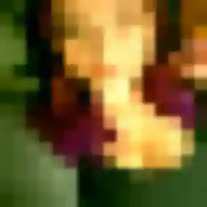 Photo privée de Ameline, 25 ans à Feyzin - rencontre coquine