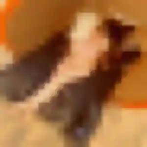 Thais (33 ans) à Genilac attend une rencontre aujourd'hui