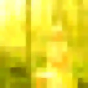 Profil de Roxane à Grand-Aigueblanche (44 ans) - rencontre sexe gratuit
