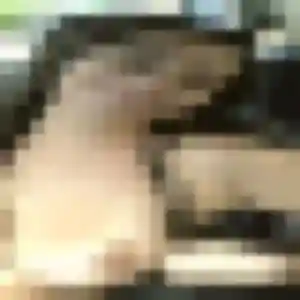 Profil de Rym à Jonquières-Saint-Vincent (25 ans) - rencontre sexe discret