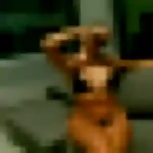 Photo de Ximena à Jonquières-Saint-Vincent (30 ans) - rencontre sexe sans inscription