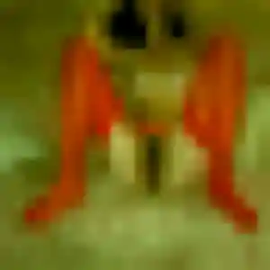 Ursula, 34 ans, disponible à Juillan pour une rencontre coquine