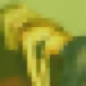 Photo privée de Dana, 37 ans à La Penne-sur-Huveaune - plan discret