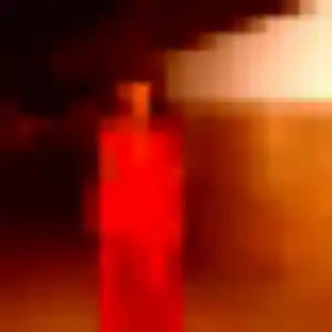 Photo de Ines à La Salvetat-Saint-Gilles (34 ans) - rencontre sexe sans inscription
