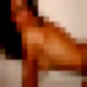 Salima, 36 ans, en ligne à La Salvetat-Saint-Gilles pour une rencontre coquine