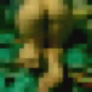 Photo exclusive de Garance, 34 ans à Labège - rencontre coquine