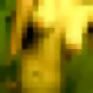 Ximena, femme de 40 ans cherche rencontre sexe à Le Muy