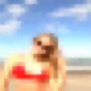 Yael, 28 ans, cherche un rencontre sexe à Lherm