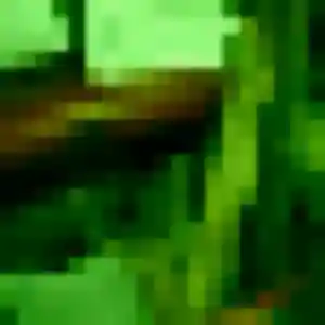 Photo de Bertrane à Manduel (20 ans) - rencontre sexe sans inscription