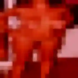 Photo exclusive de Emmanuelle, 22 ans à Mouriès - rencontre coquine