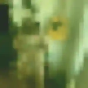 Regine, femme de 22 ans cherche rencontre sexe à Pernes-les-Fontaines
