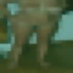 Profil de Diane à Peymeinade (41 ans) - rencontre sexe sans inscription