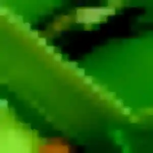 Rym (35 ans) à Pézilla-la-Rivière attend un rencontre sexe maintenant