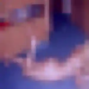 Rencontre Fatima, 21 ans à Pierrefeu-du-Var gratuitement