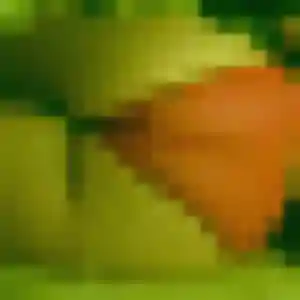 Photo de Alix à Pollestres (35 ans) - rencontre sexe sans inscription