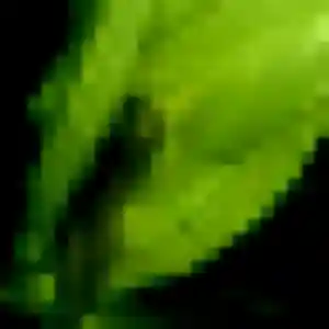Photo de Rym à Pont-Évêque (44 ans) - rencontre sexe gratuit