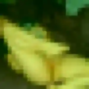 Photo de Djamila à Pontcharra (35 ans) - rencontre sexe anonyme