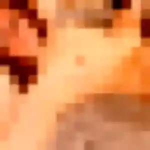 Thais, 40 ans, cherche un rencontre sexe à Renaison