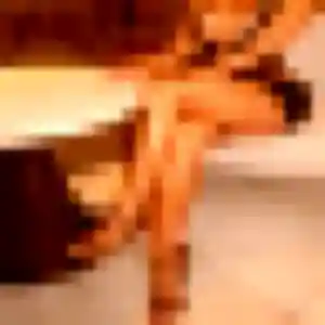 Photo perso de Marie-Christine, 45 ans à Rillieux-la-Pape - rencontre coquine