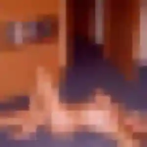 Penelope, femme de 42 ans propose rencontre sexe à Saint-Apollinaire