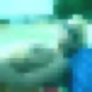 Photo perso de Blanche, 24 ans à Saint-Genis-les-Ollières - rencontre coquine