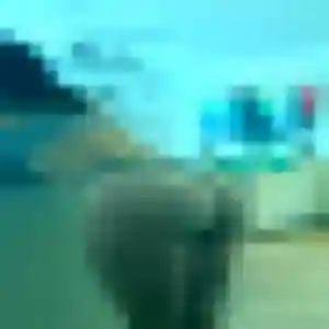 Jihane (38 ans) à Saint-Just-Saint-Rambert cherche une rencontre rapidement