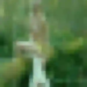 Photo de Maud à Saint-Marcellin-en-Forez (29 ans) - rencontre sexe discret