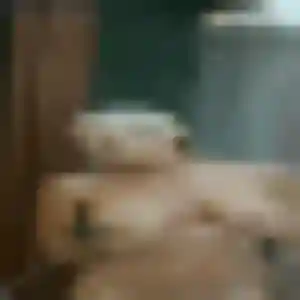 Brune, 21 ans, veut un rencontre sexe à Saint-Rémy