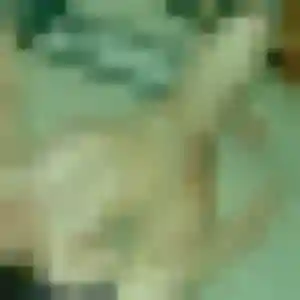 Anne-Charlotte, 40 ans, en ligne à Saint-Saturnin-lès-Avignon pour un rencontre sexe
