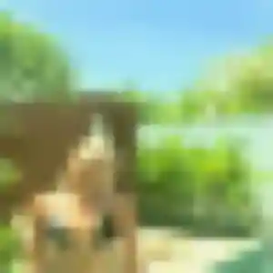 Laure, femme de 21 ans veut rencontre sexe à Saint-Symphorien-sur-Coise