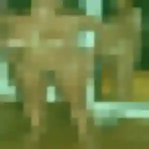 Samira, 31 ans, en ligne à Sainte-Florine pour une rencontre coquine