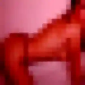 rencontre sexe à Saleilles : profil de Regine, 44 ans - accès libre