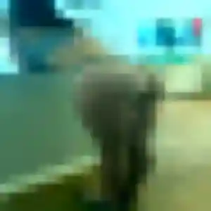 Anais, fille de 38 ans cherche rencontre sexe à Soucieu-en-Jarrest