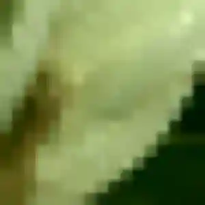 Romina, femme de 36 ans veut rencontre sexe à Tourrettes-sur-Loup