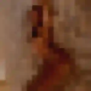 Elena, 32 ans, en ligne à Trévoux pour un rencontre sexe