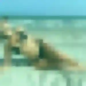 Photo sexy de Djamila, 21 ans à Valgelon-La Rochette - rencontre sans lendemain