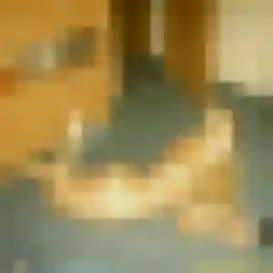Hortense, 32 ans, veut un rencontre sexe à Vic-le-Comte