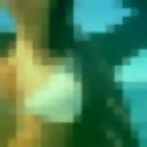 Photo privée de Caroline, 26 ans à Vidauban - plan discret